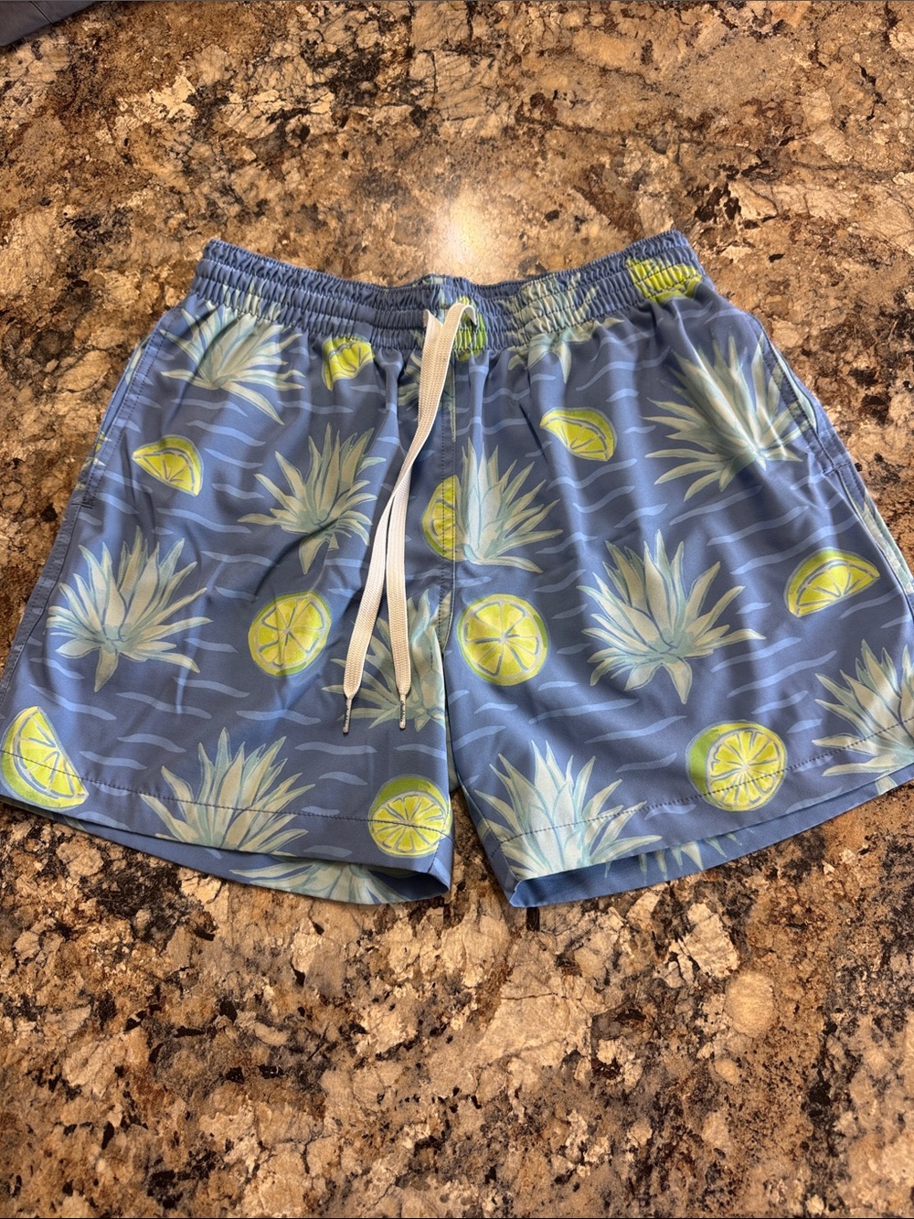 chubbies Blue Pineapple & Lemon Print Swim Trunks